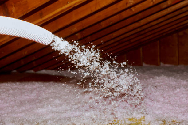 Best Cellulose Insulation in Kalispell, MT
