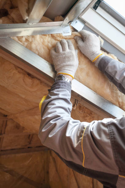 Best Residential Insulation in Kalispell, MT