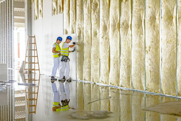 Best Geographic-Specific Insulation Services in Kalispell, MT